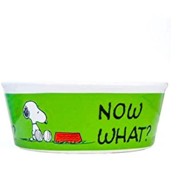 Gibson Peanuts Other - Peanuts Snoopy “Now, What’?” Dog/Cat Food Bowl Ceramic Stoneware Kelly Green